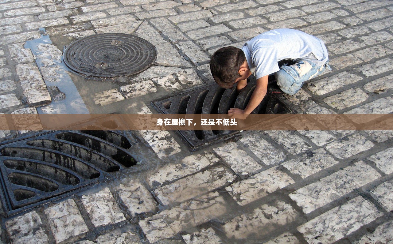 身在屋檐下，还是不低头