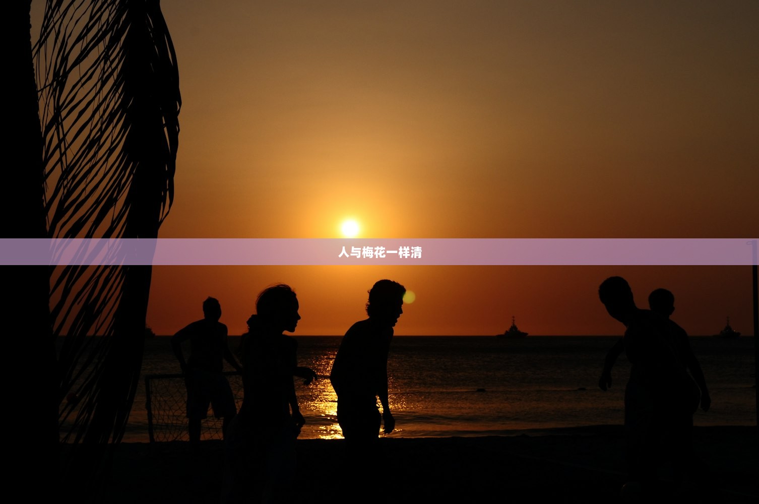 人与梅花一样清