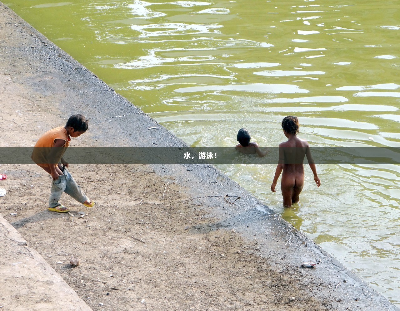 水，游泳！
