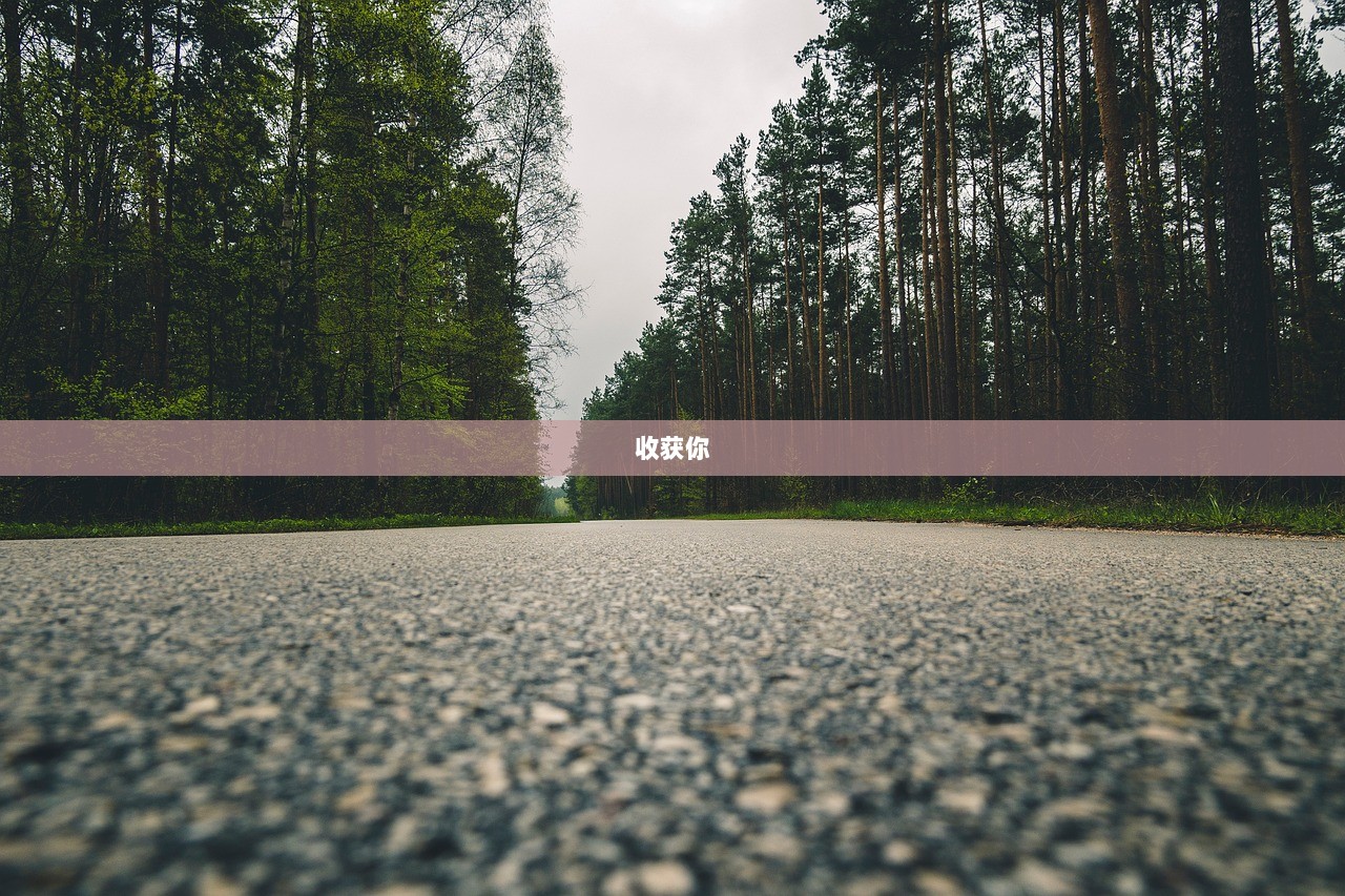 收获你
