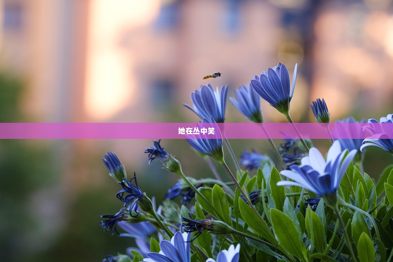 她在丛中笑