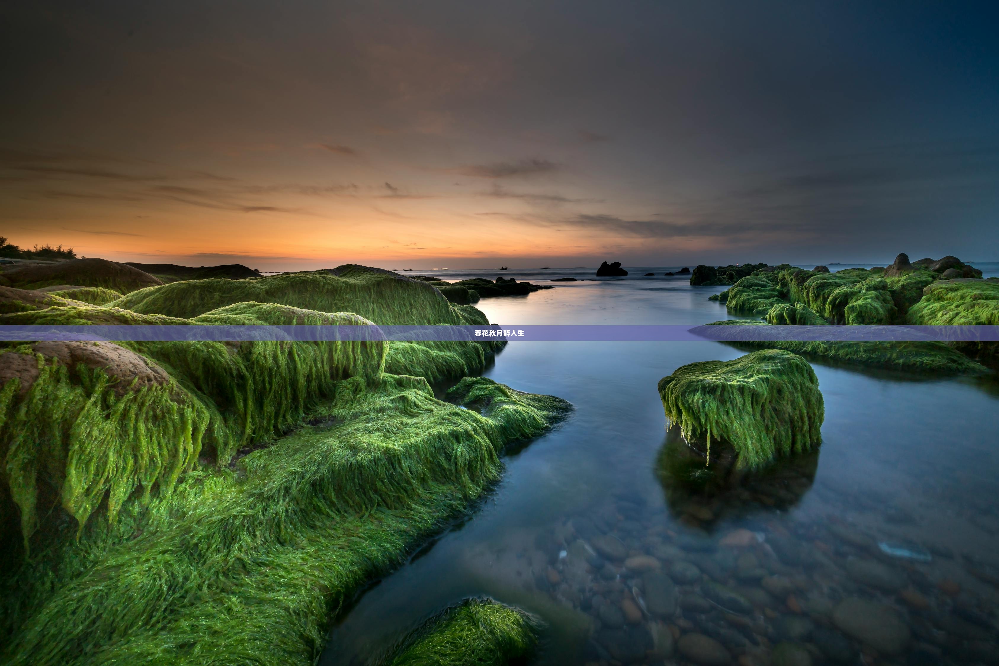 春花秋月醉人生
