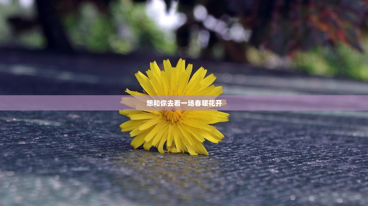 想和你去看一场春暖花开