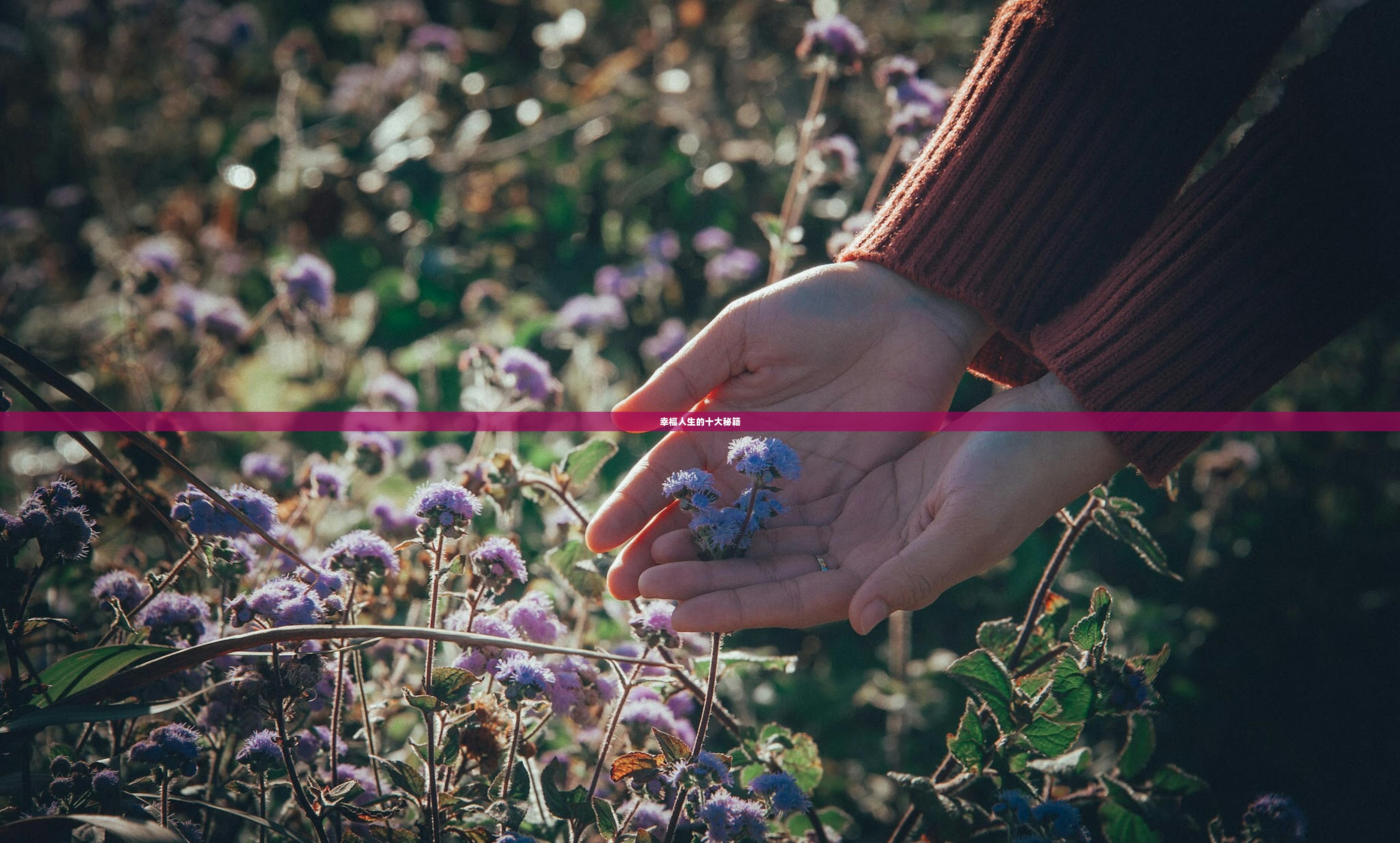 幸福人生的十大秘籍