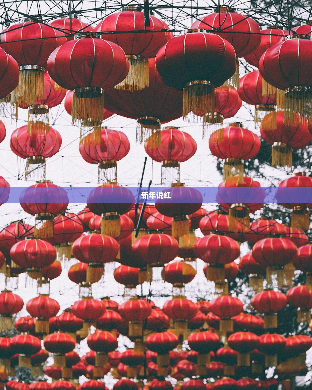 新年说红  第1张