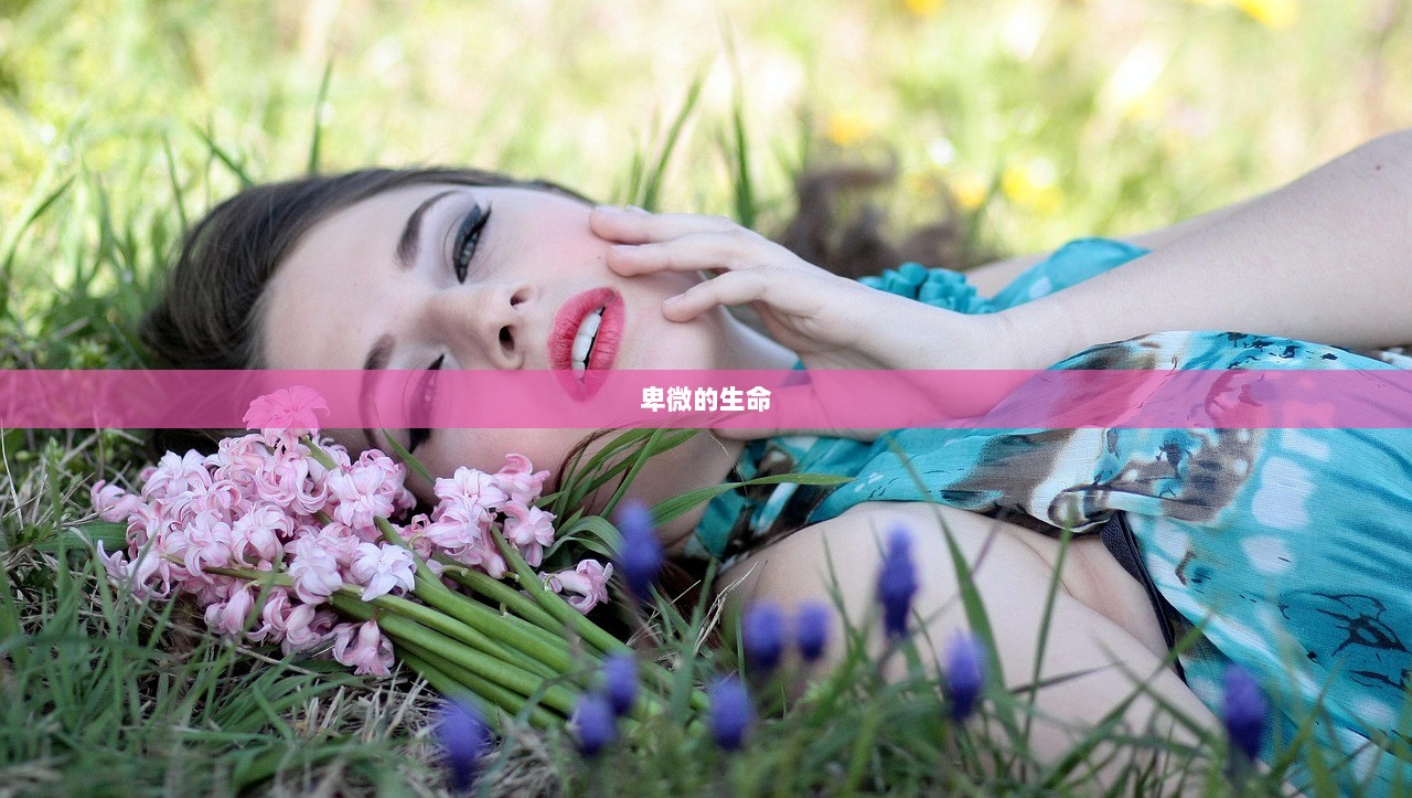 卑微的生命  第1张