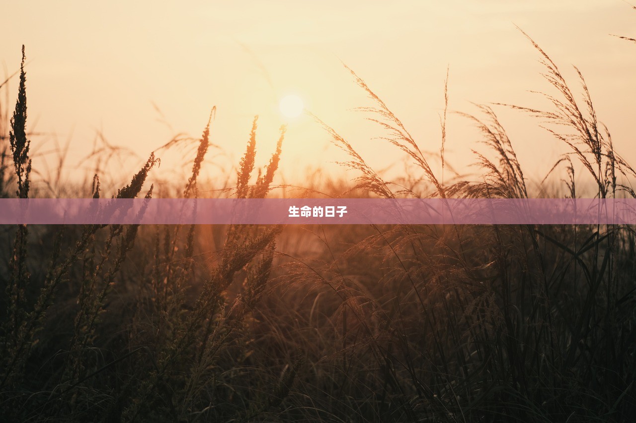 生命的日子