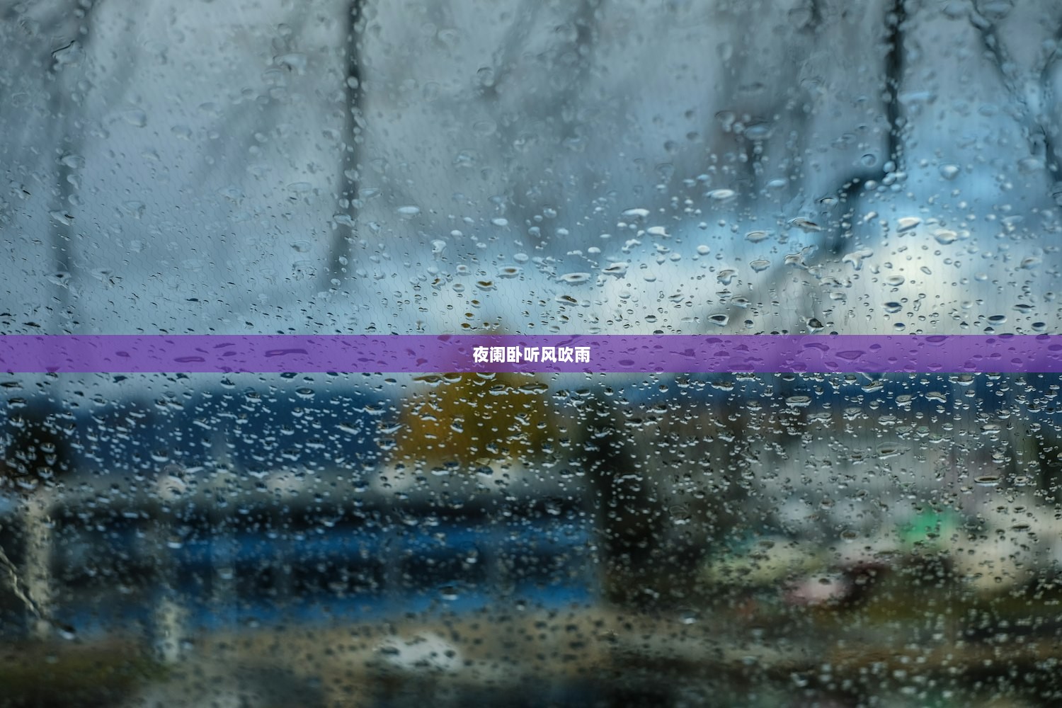 夜阑卧听风吹雨