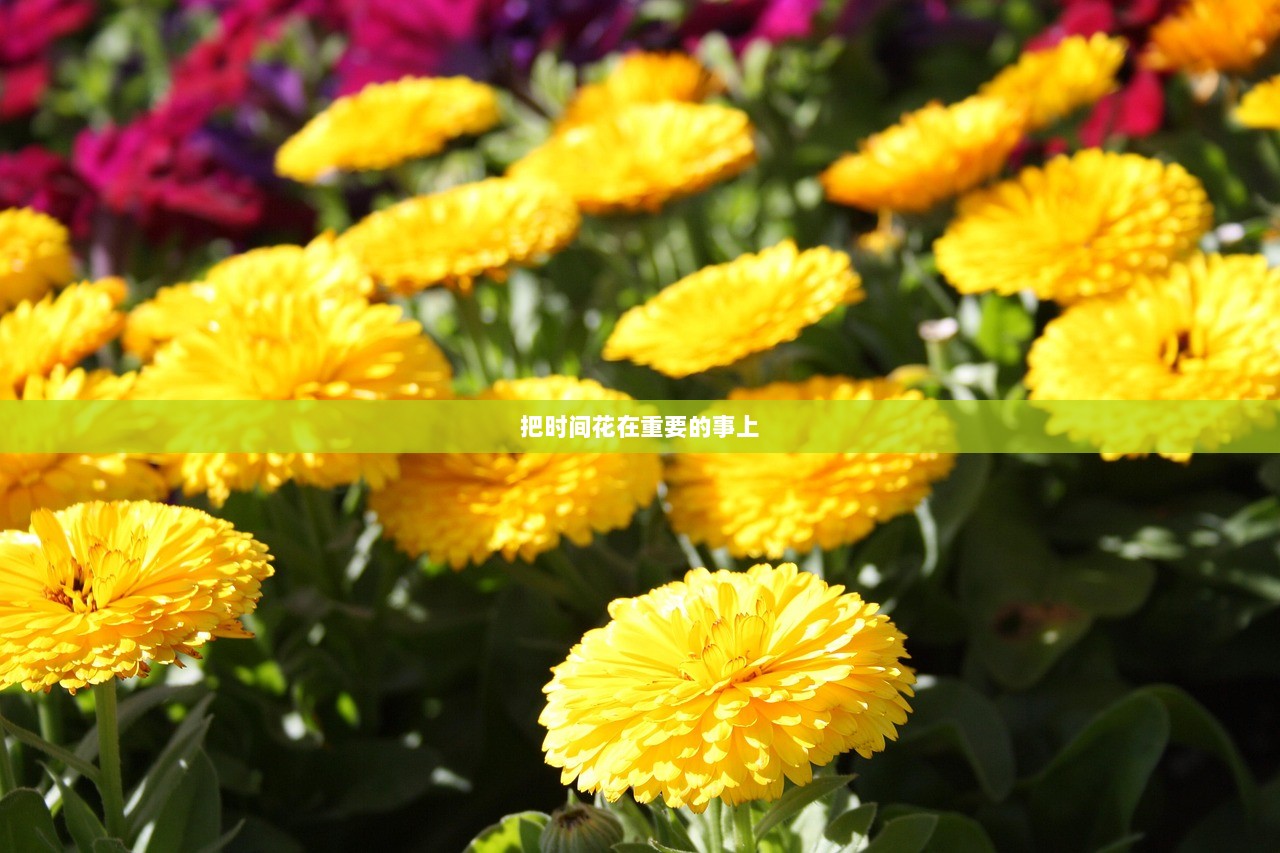把时间花在重要的事上