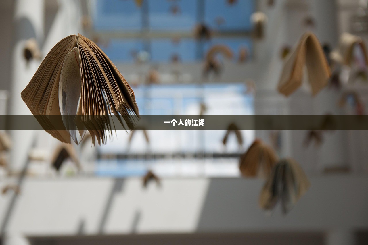 一个人的江湖