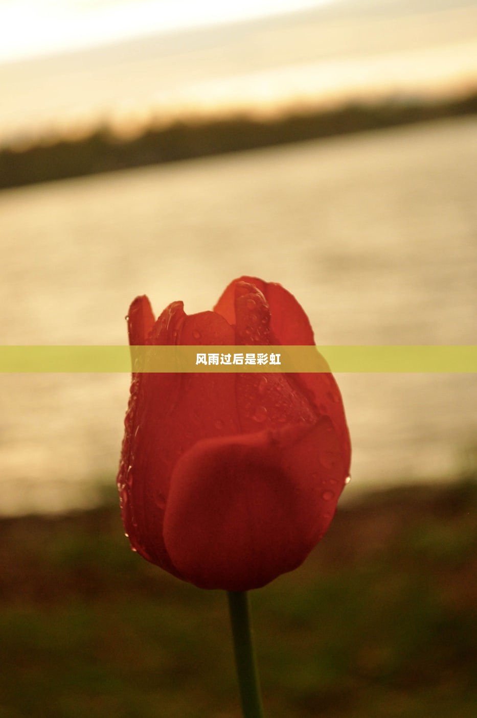 风雨过后是彩虹