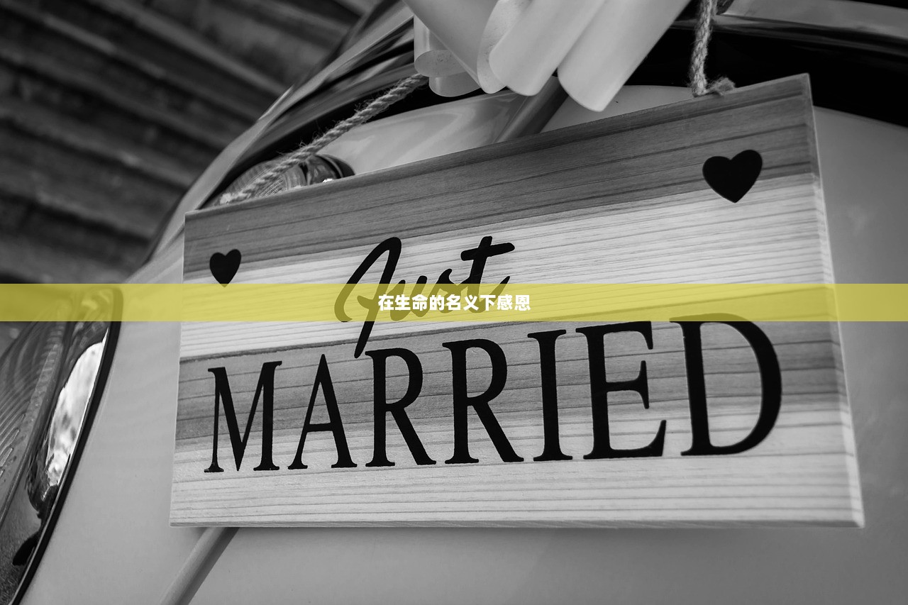 在生命的名义下感恩