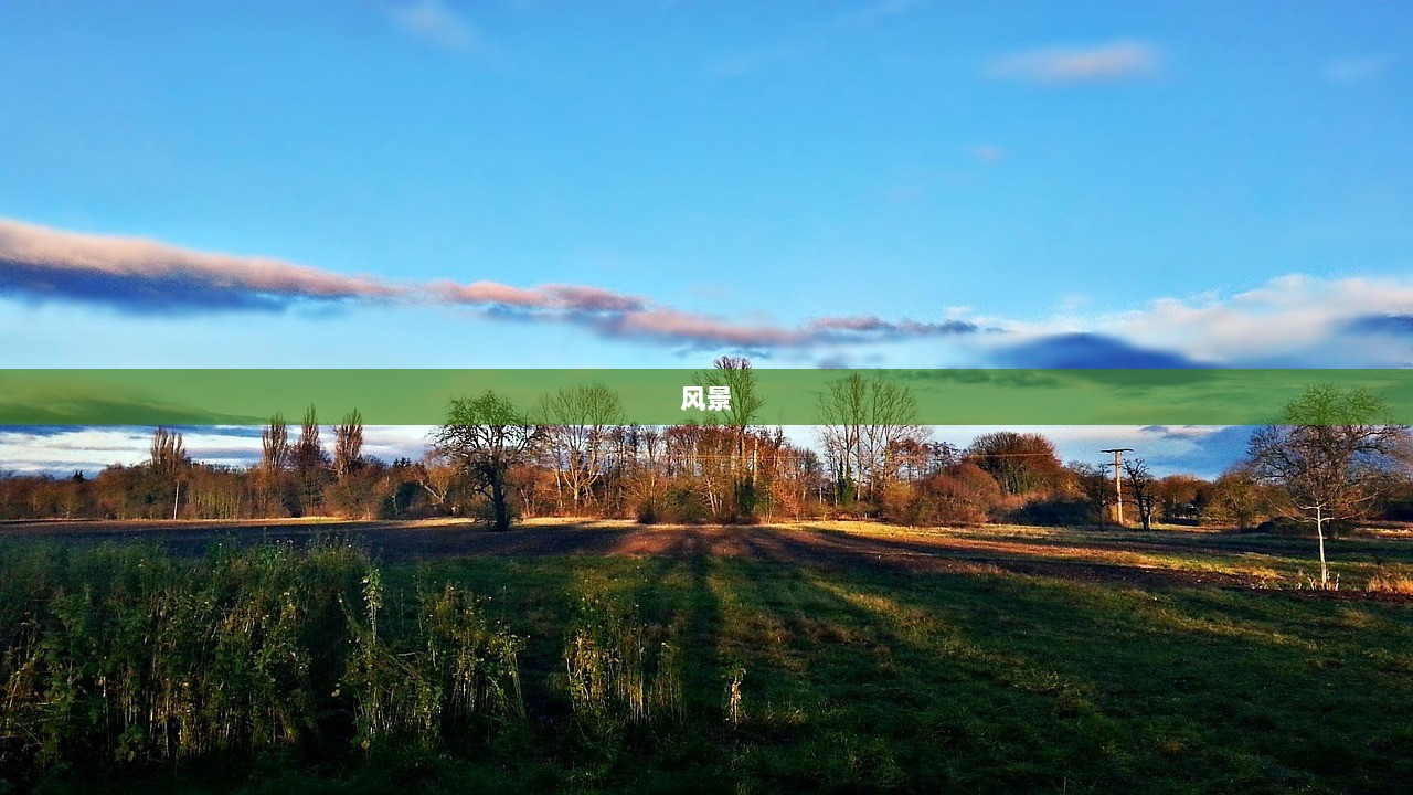 风景