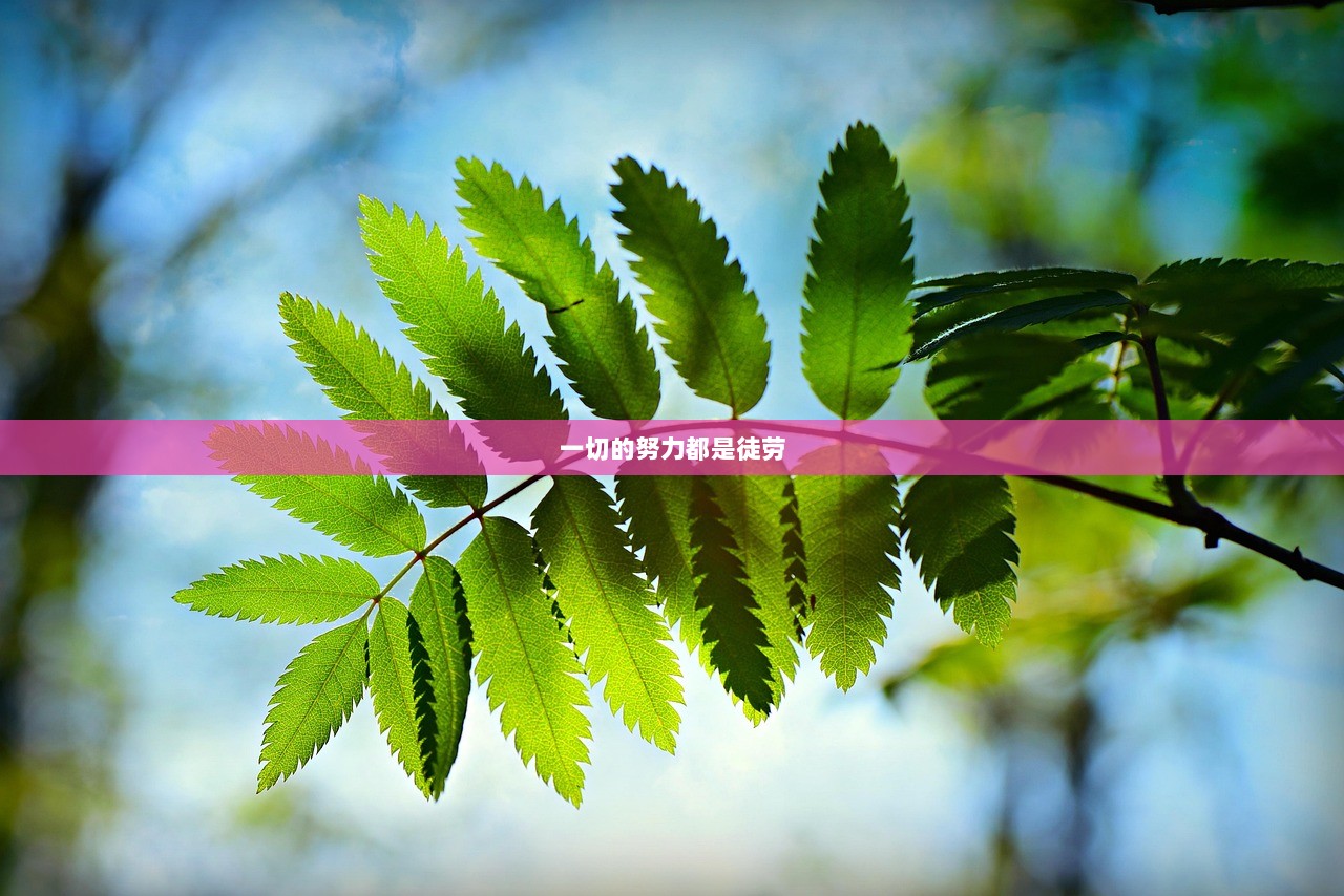 一切的努力都是徒劳