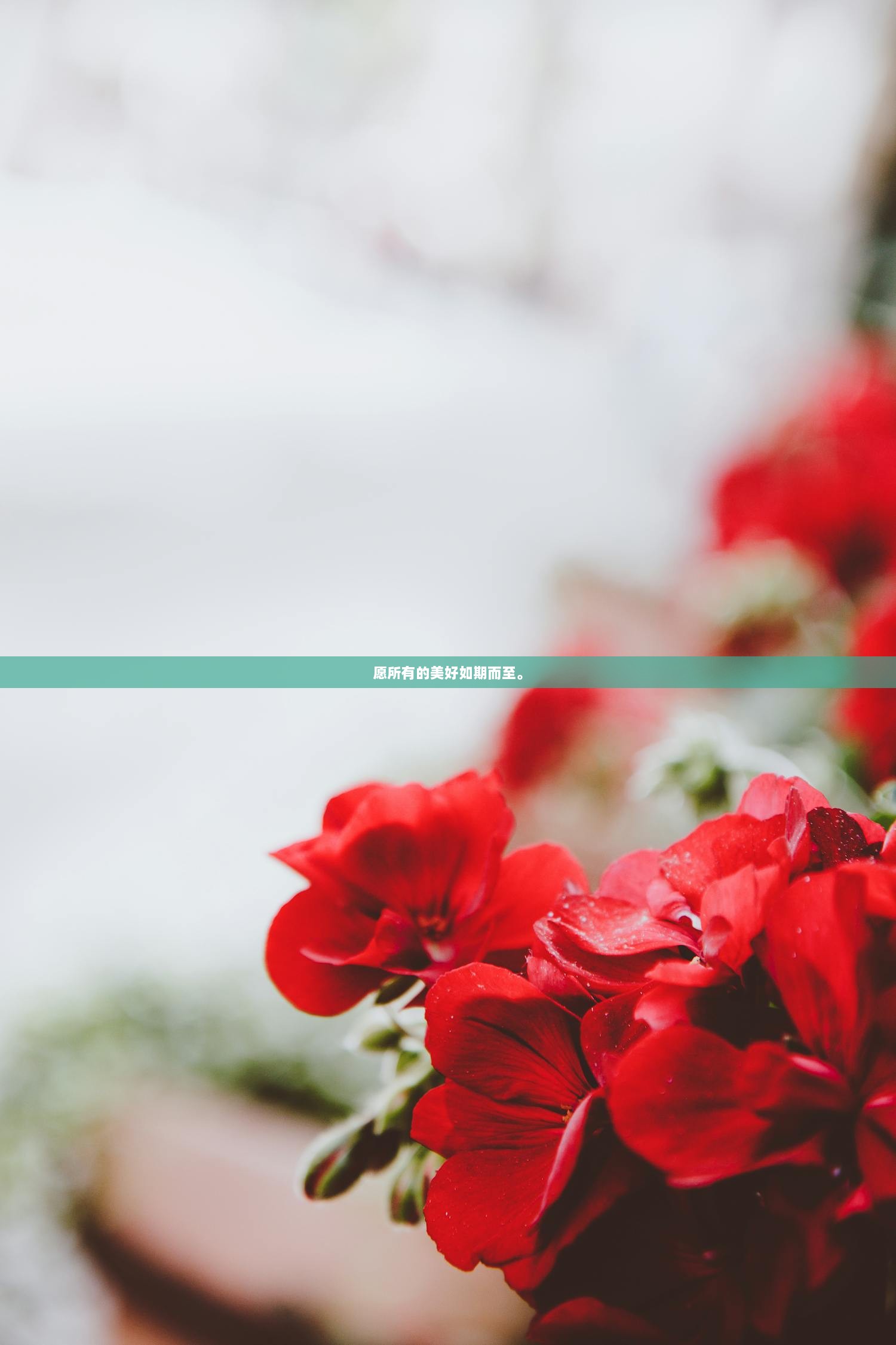 愿所有的美好如期而至。
