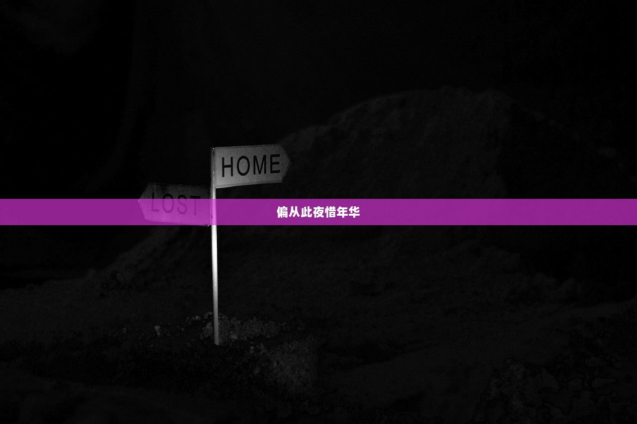 偏从此夜惜年华