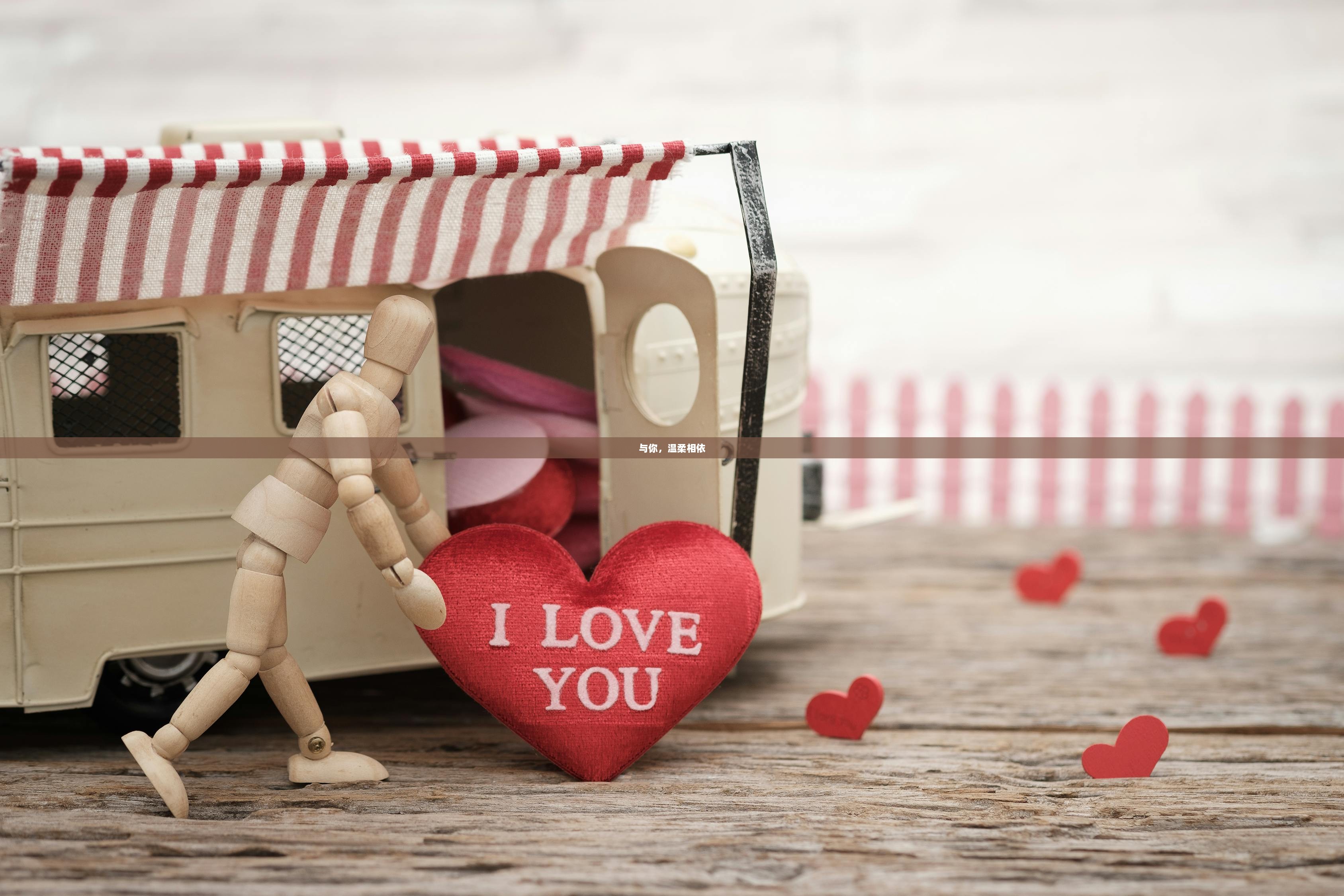 与你，温柔相依