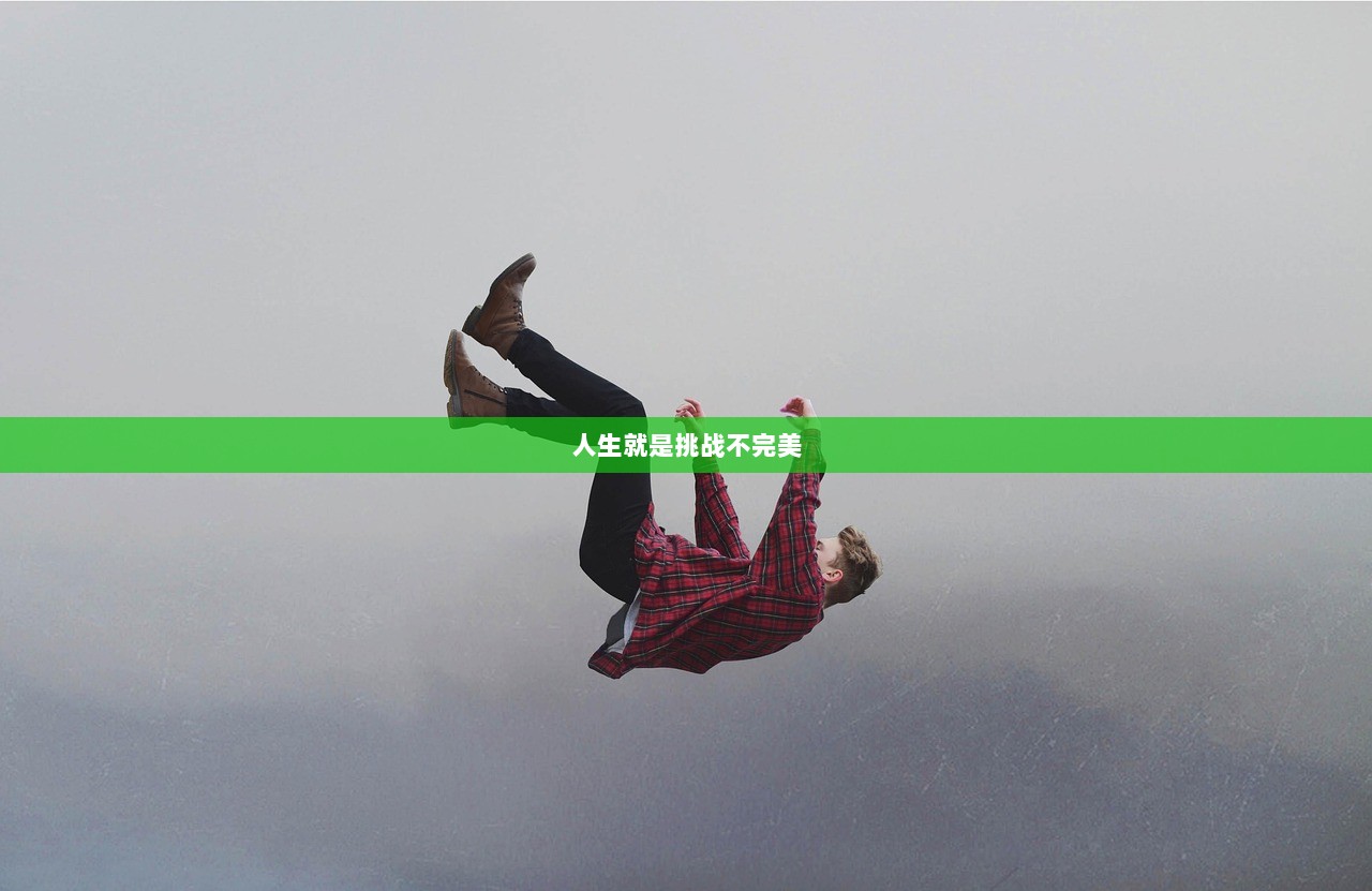 人生就是挑战不完美
