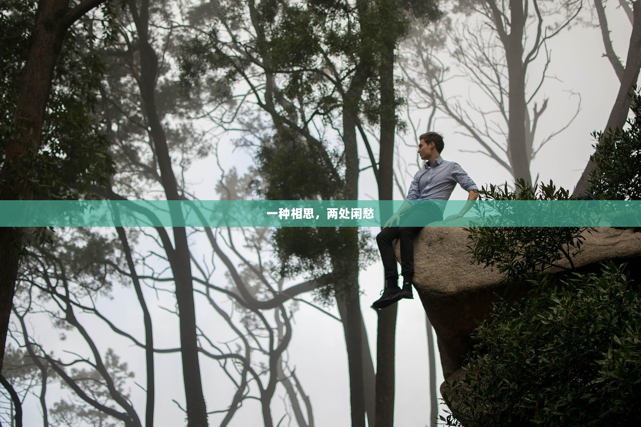 一种相思，两处闲愁