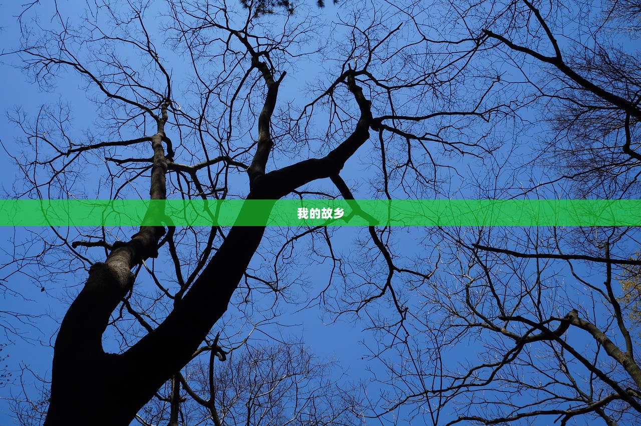 我的故乡