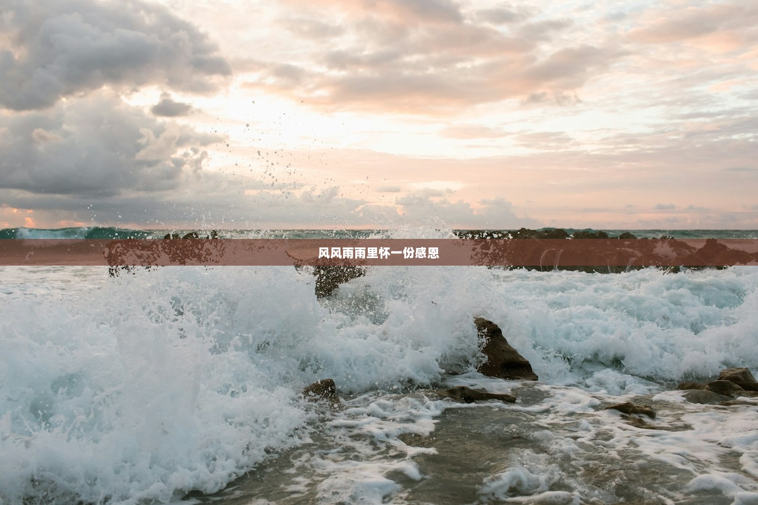 风风雨雨里怀一份感恩