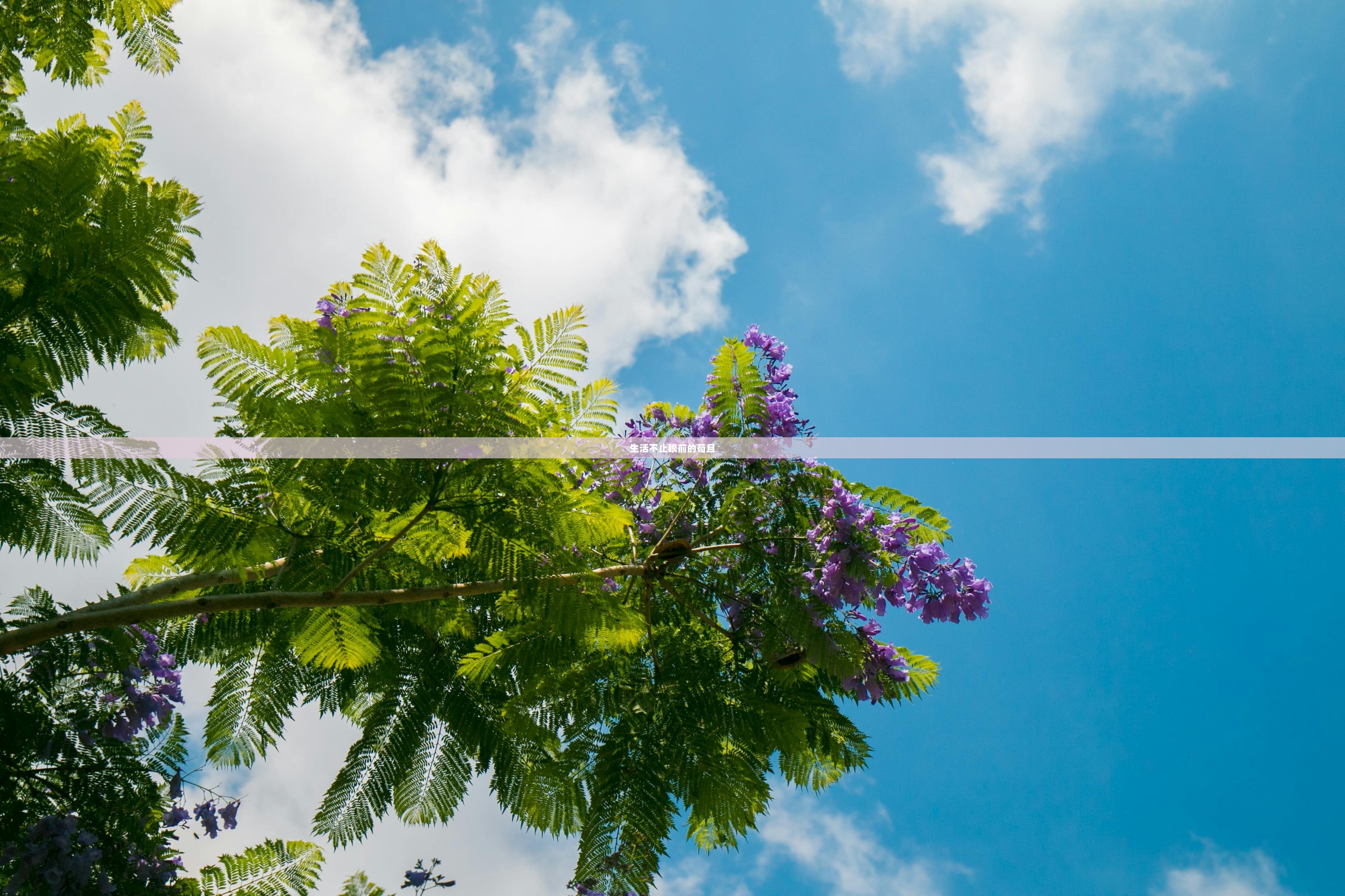 生活不止眼前的苟且