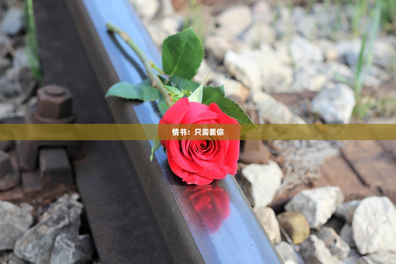 情书：只需要你