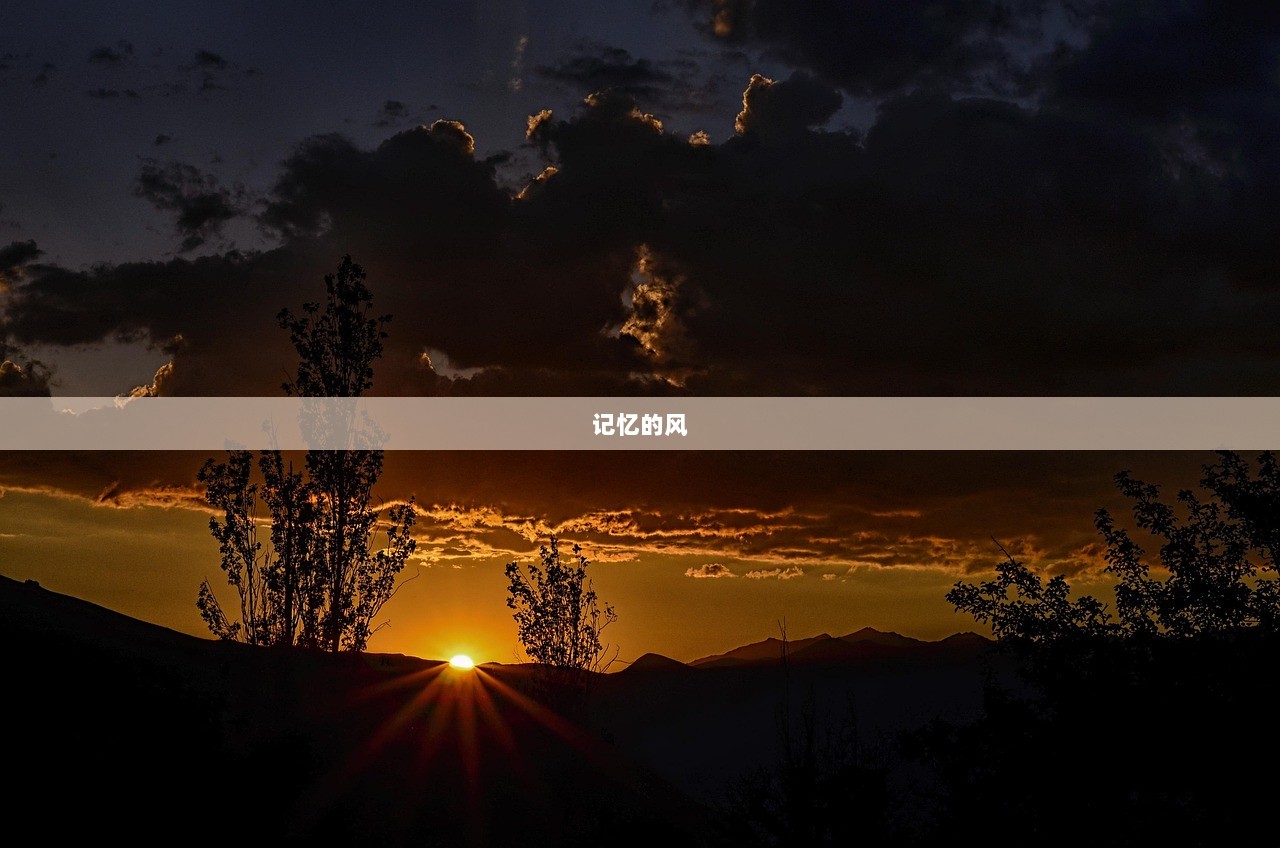 记忆的风