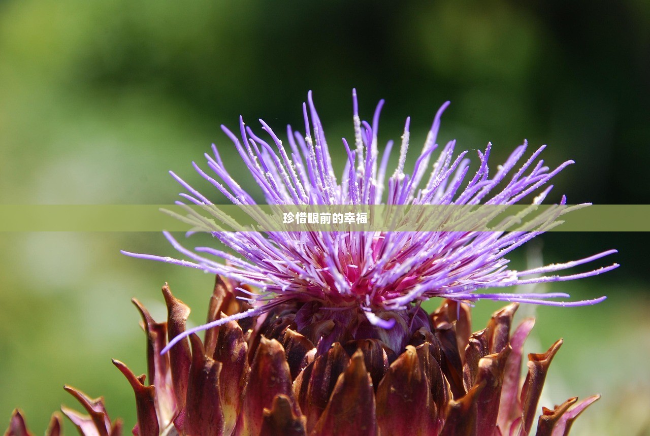 珍惜眼前的幸福