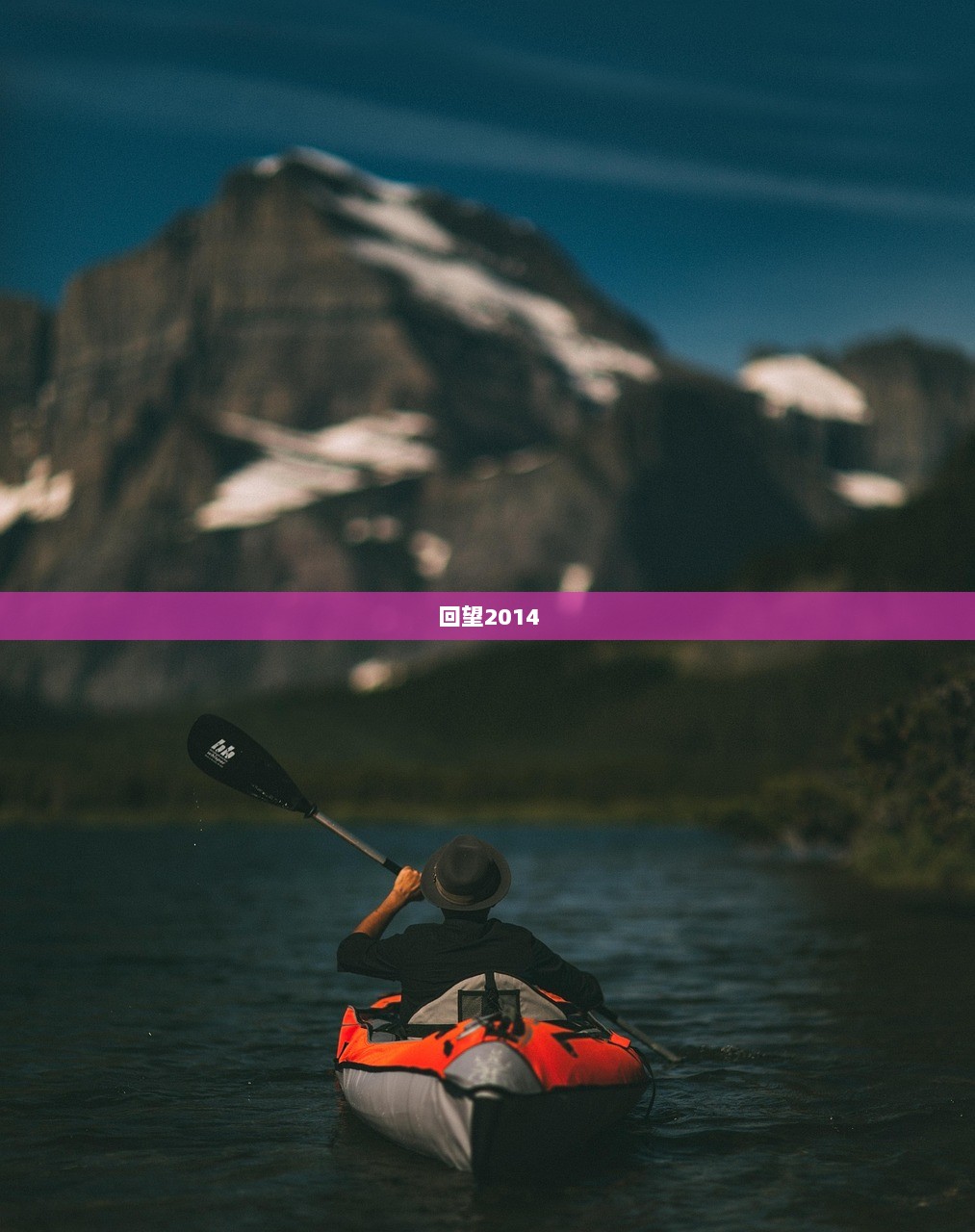 回望2014