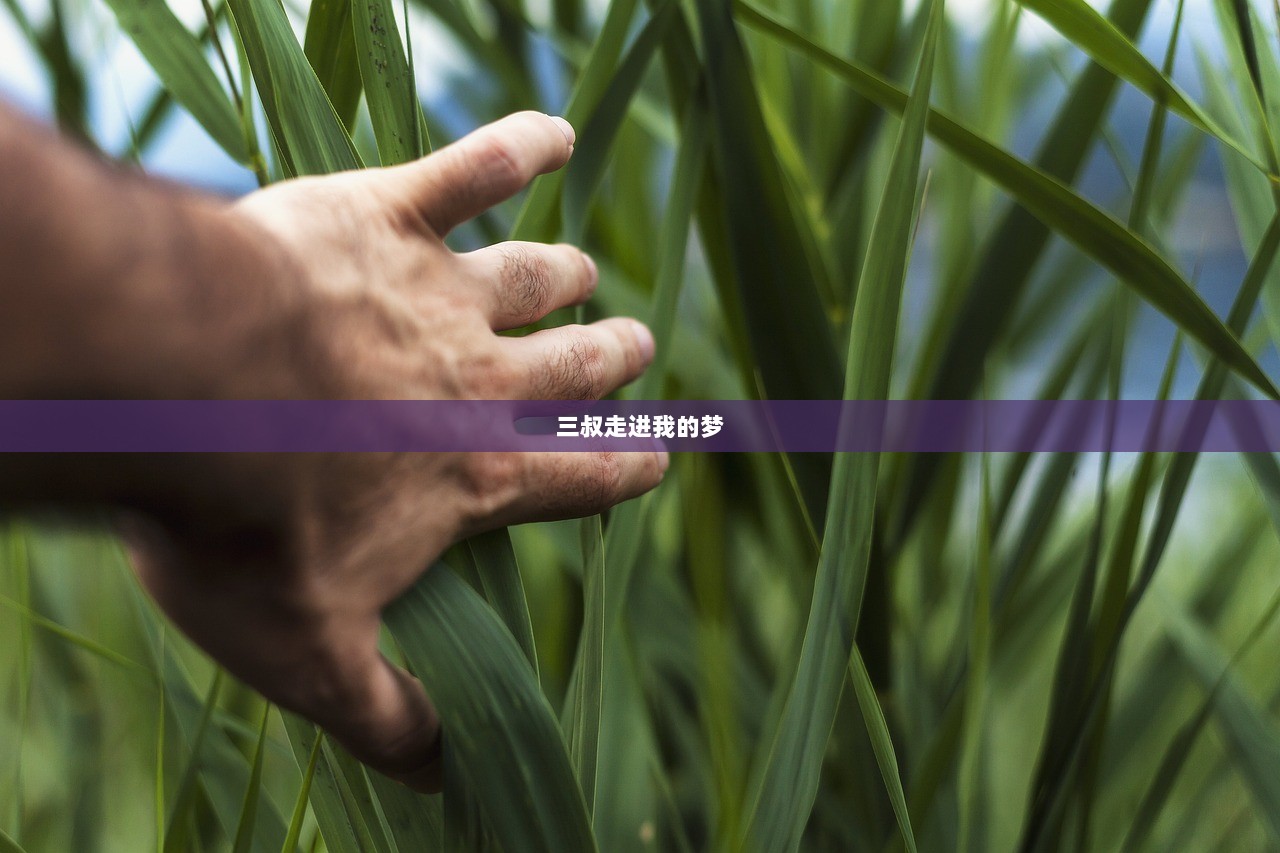 三叔走进我的梦