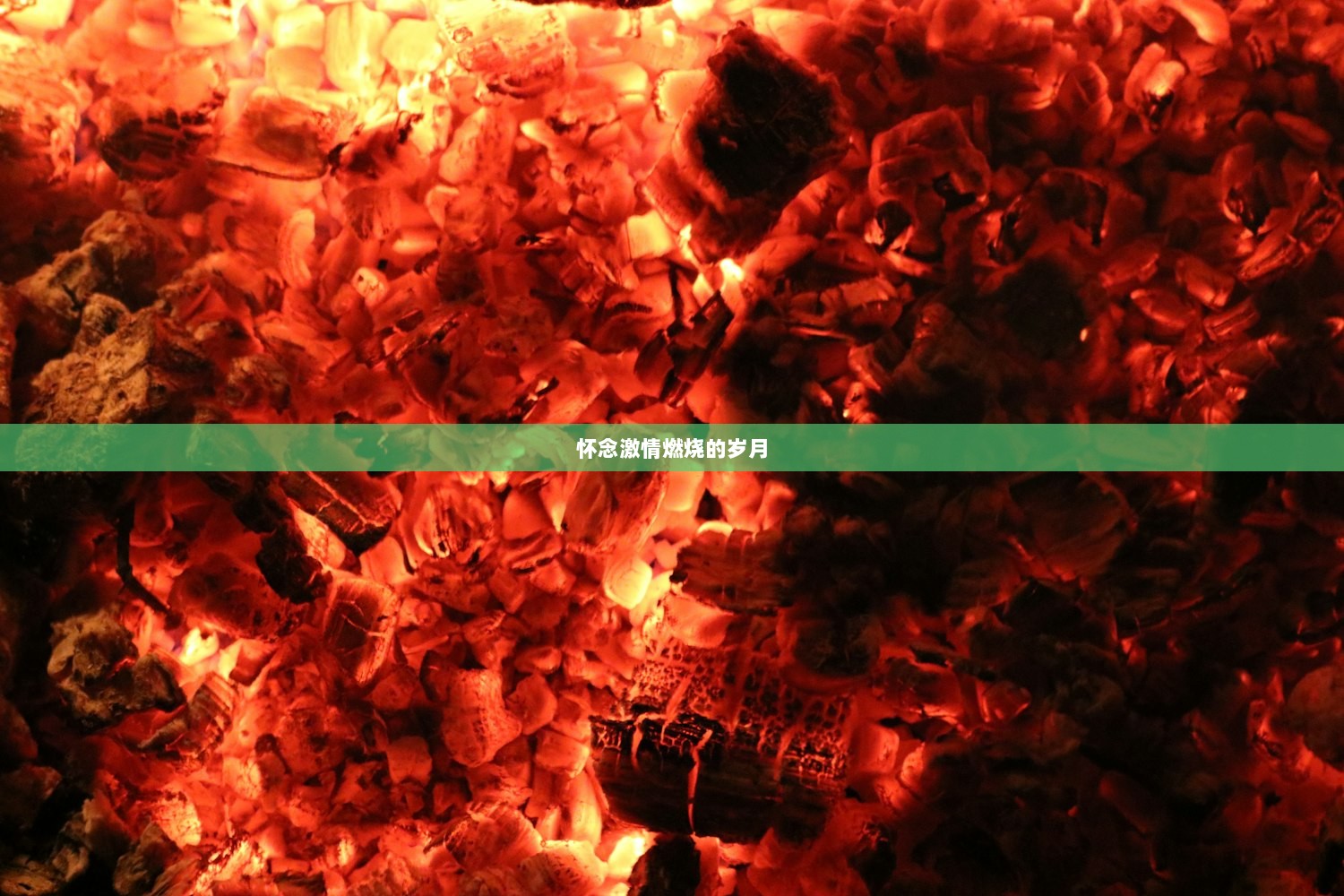 怀念激情燃烧的岁月