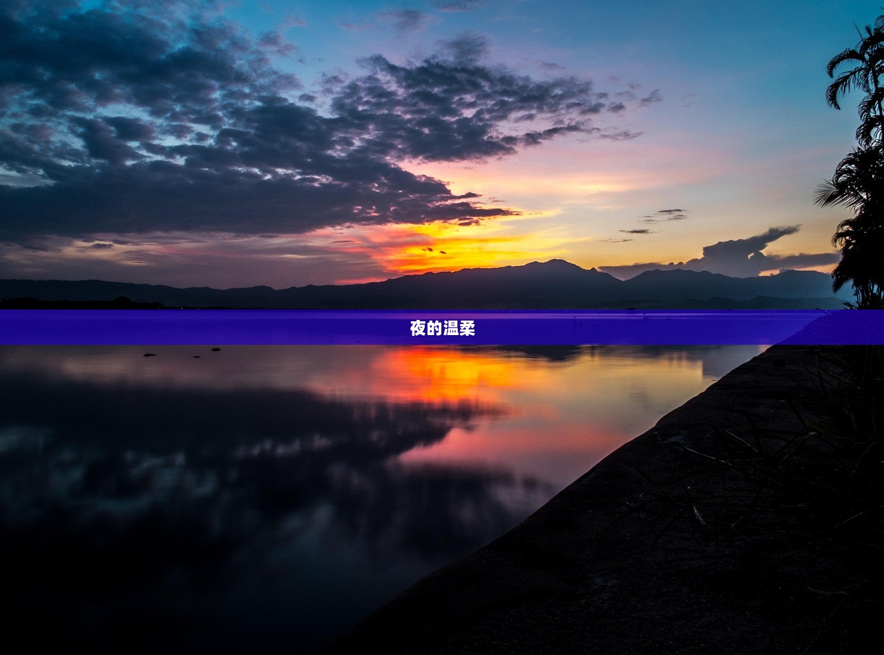 夜的温柔