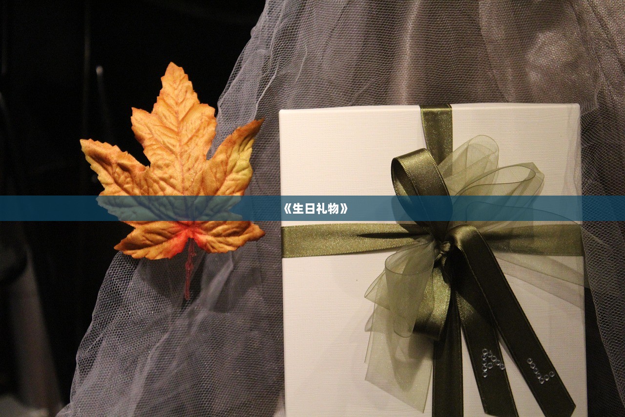 《生日礼物》 第1张 《生日礼物》 第1张