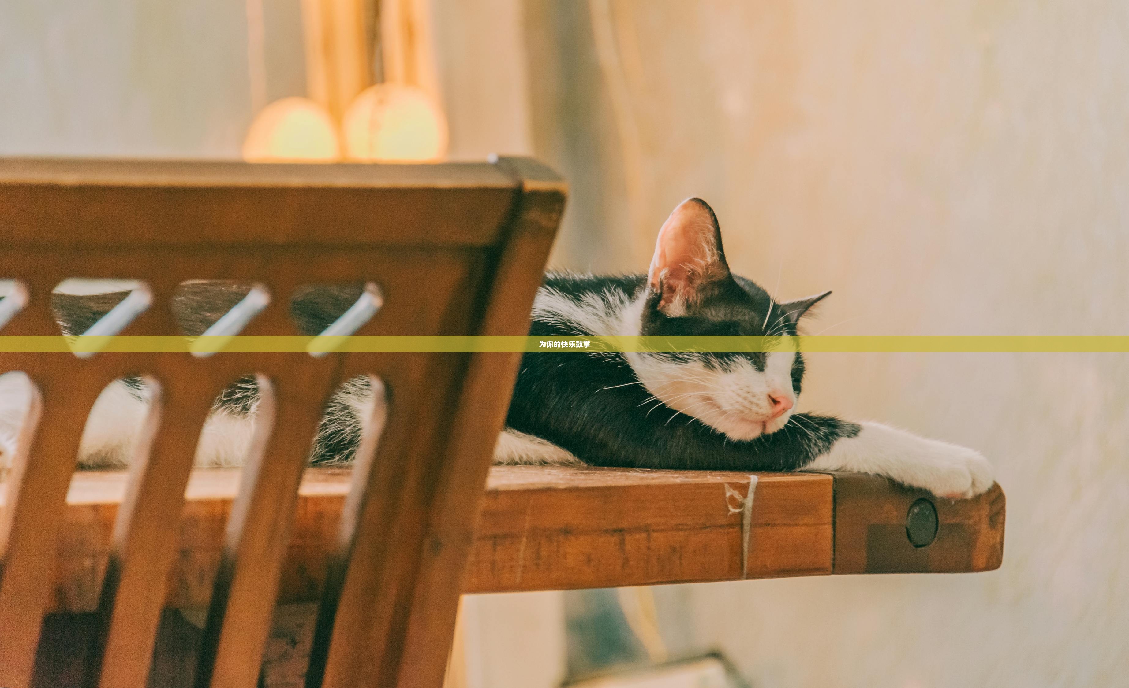 为你的快乐鼓掌