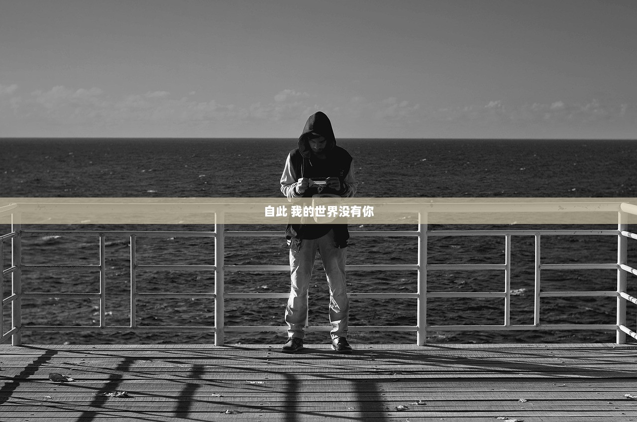 自此 我的世界没有你