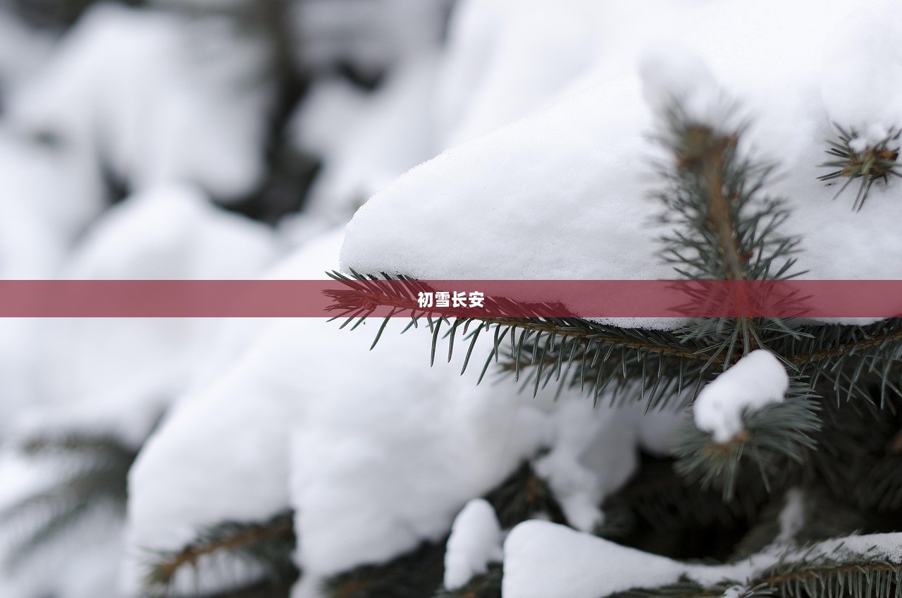 初雪长安