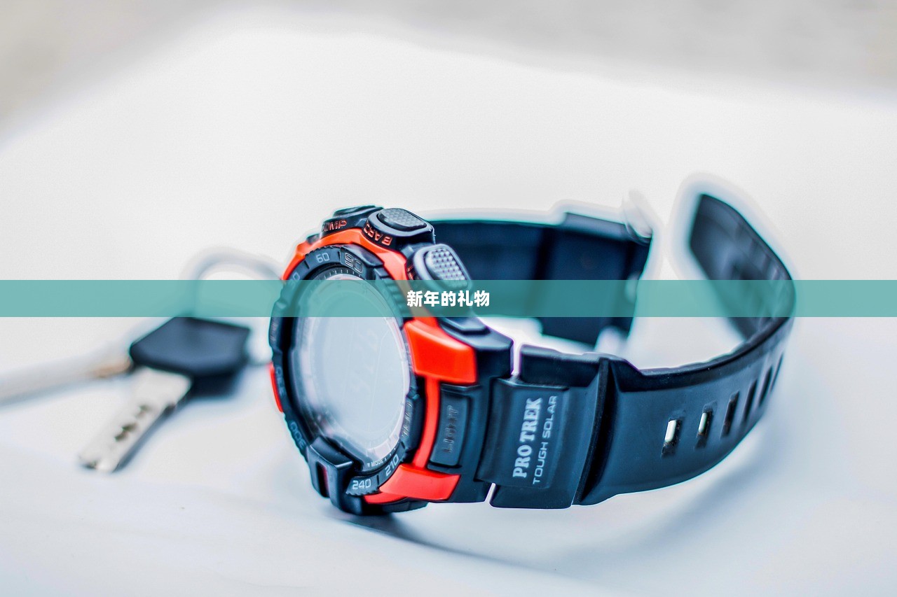 新年的礼物  第1张