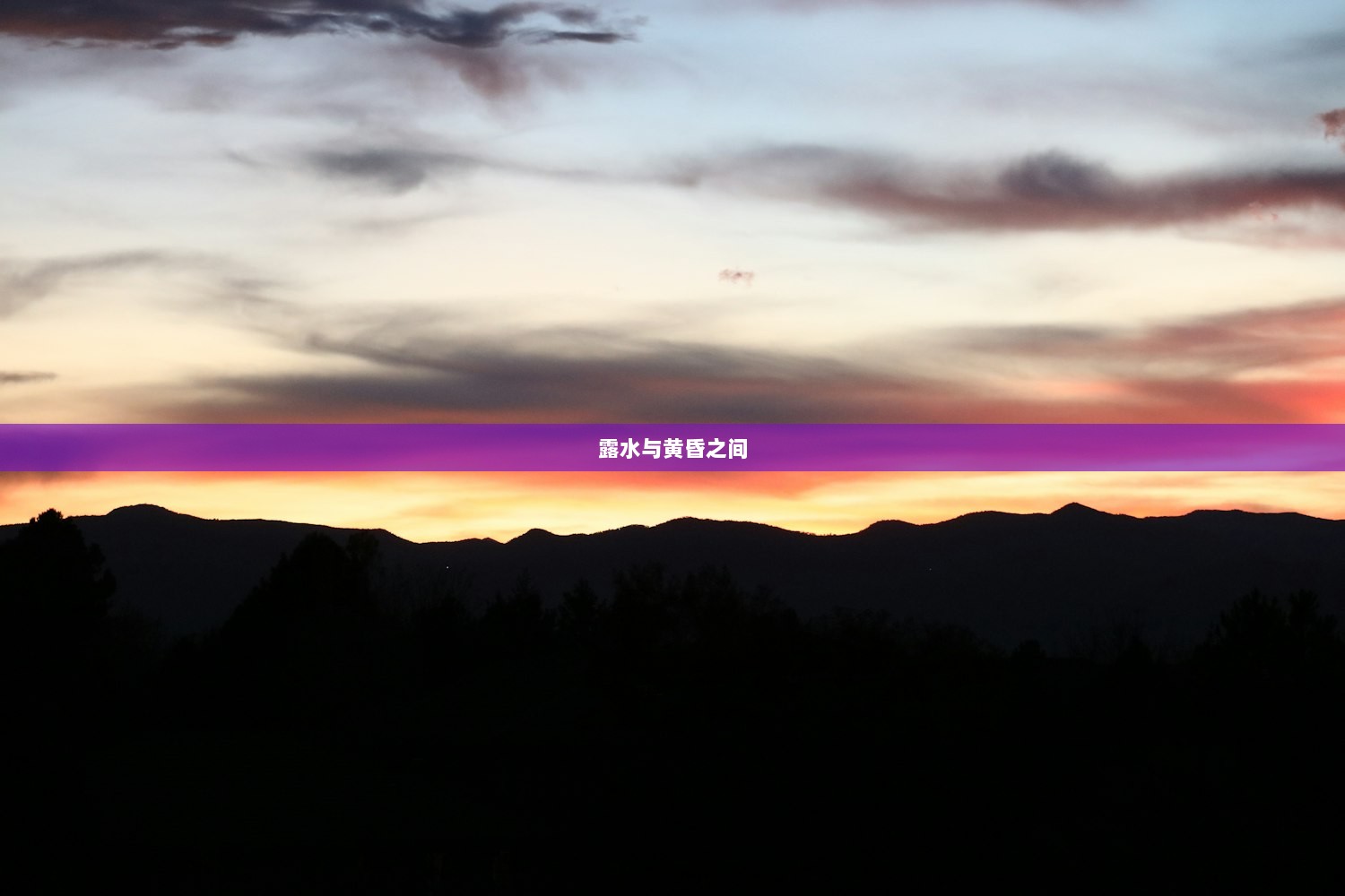 露水与黄昏之间  第1张