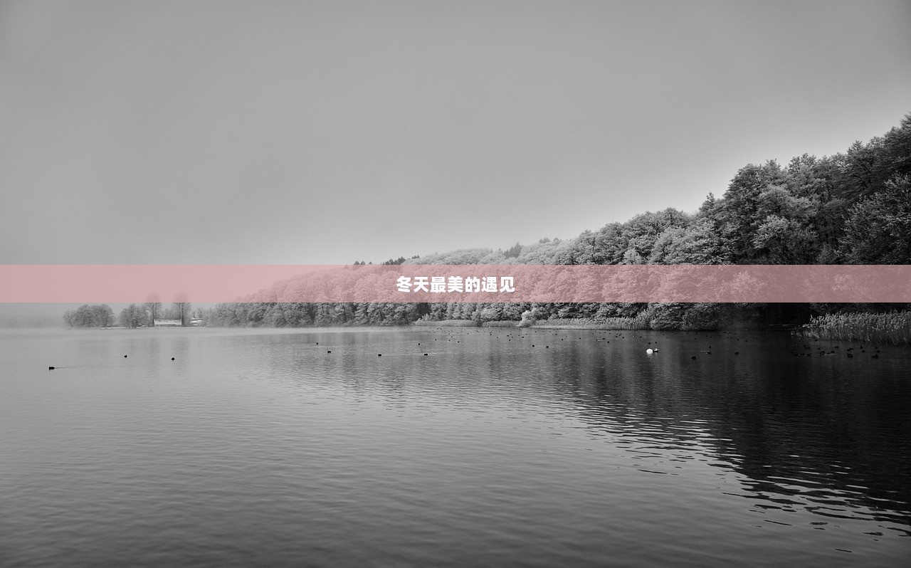 冬天最美的遇见