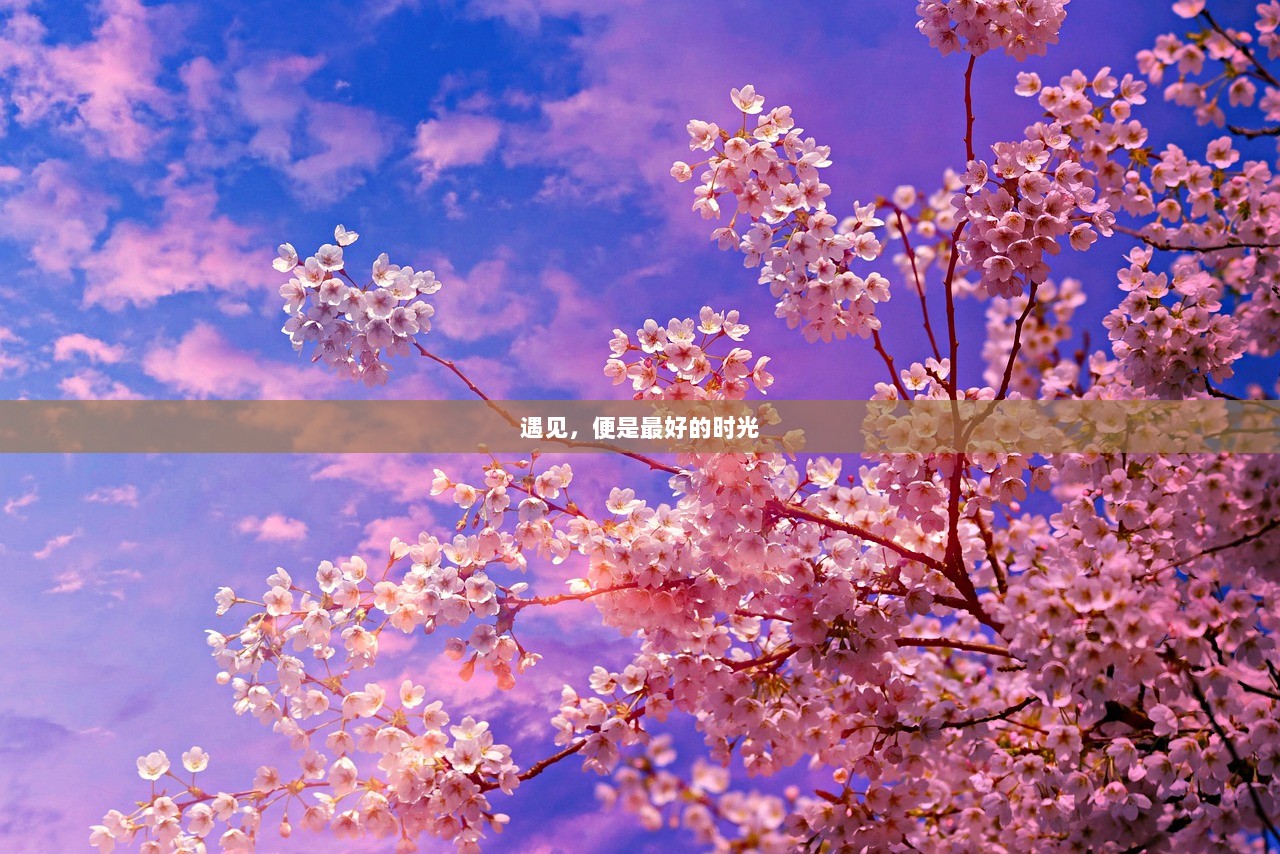 遇见，便是最好的时光