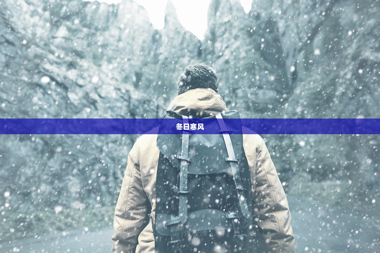 冬日寒风  第1张