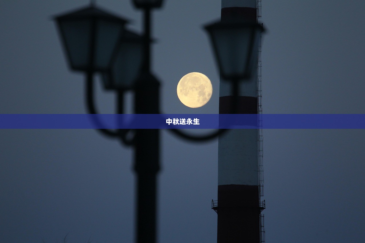 中秋送永生