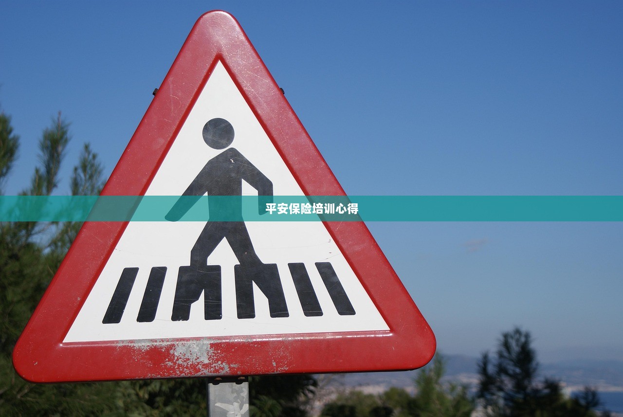 平安保险培训心得