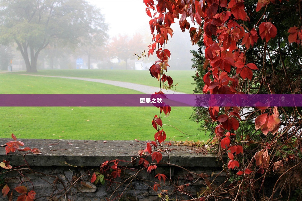 慈悲之秋