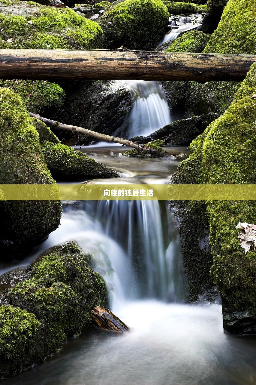 向往的独居生活