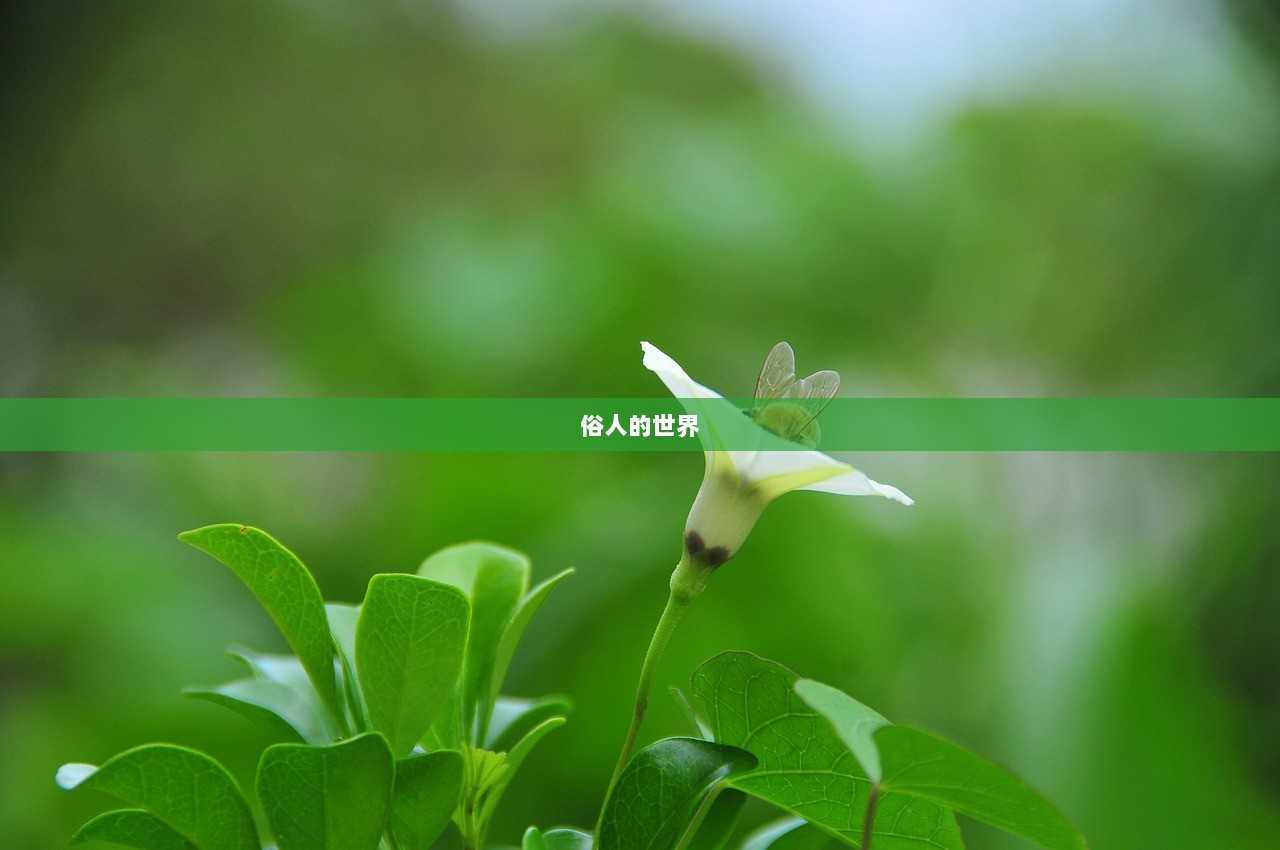 俗人的世界
