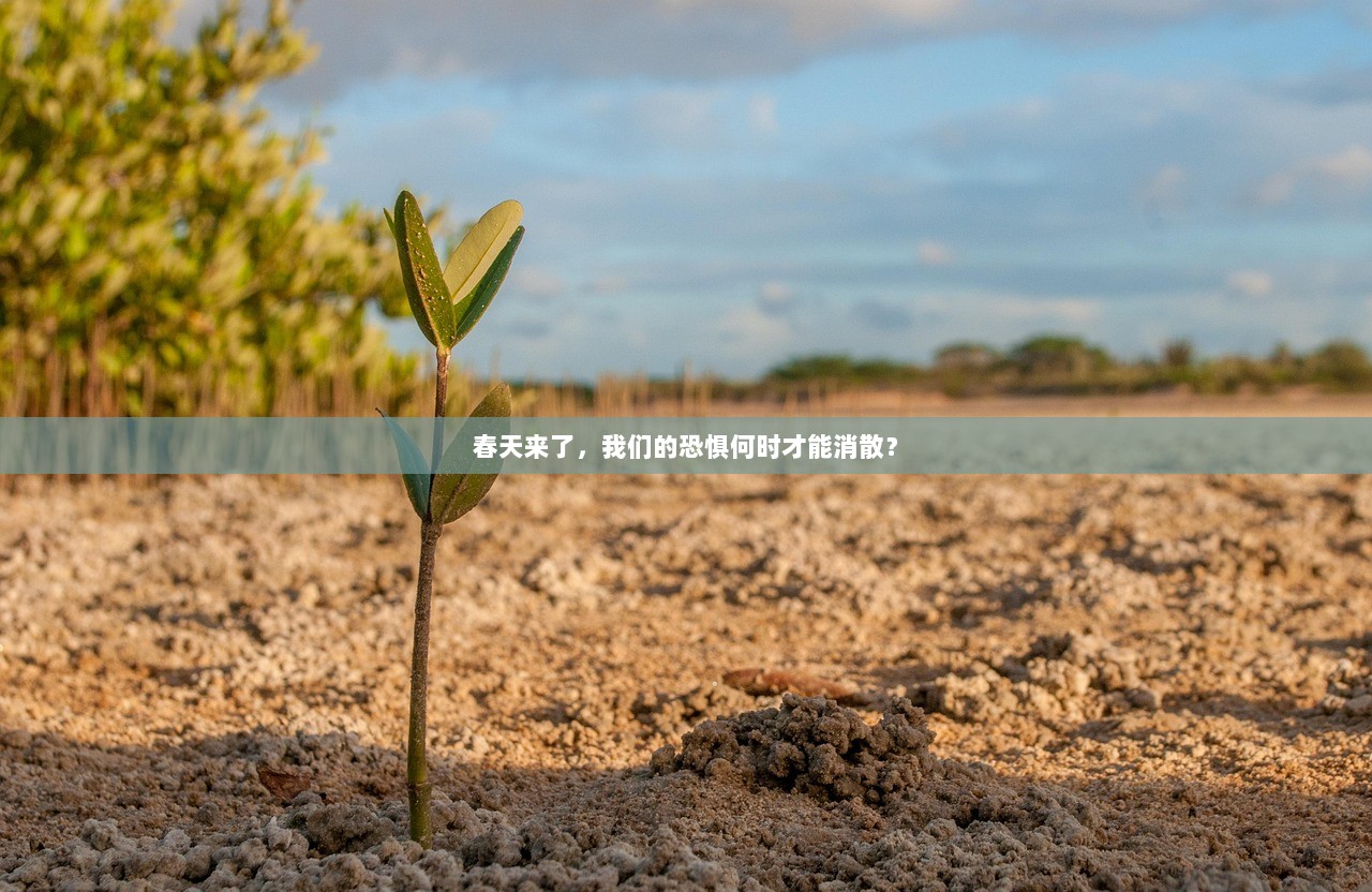 春天来了，我们的恐惧何时才能消散？