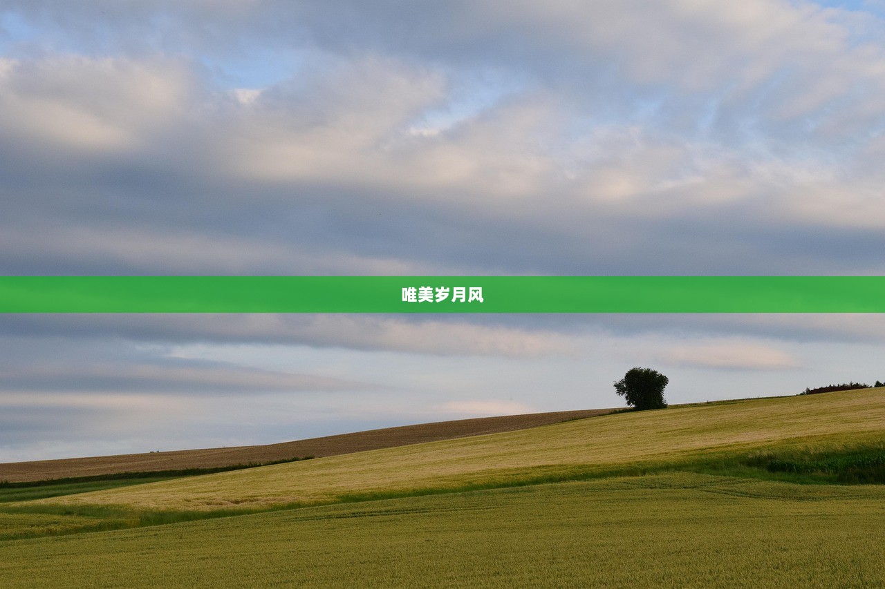 唯美岁月风