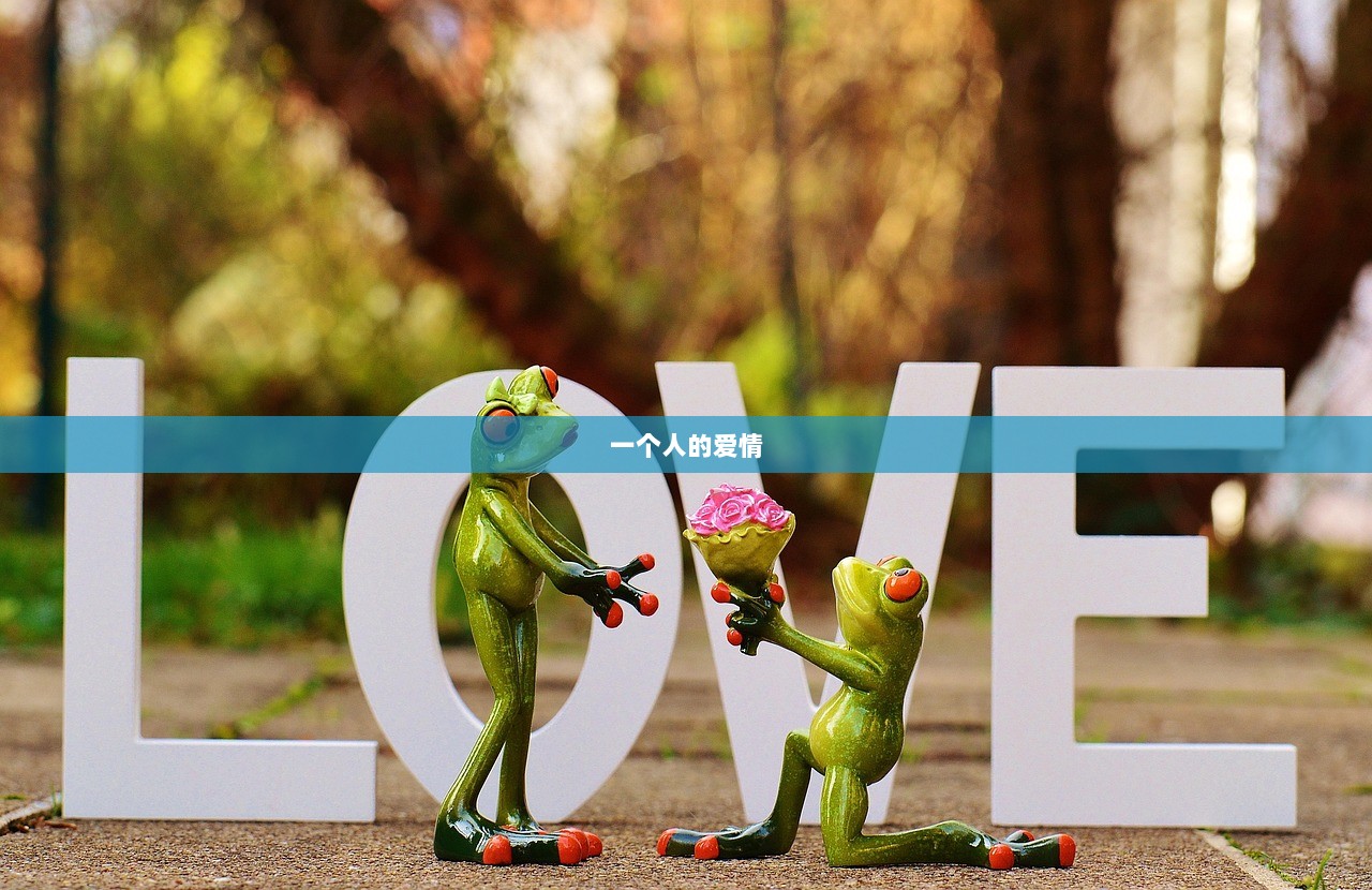 一个人的爱情